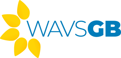 wavsgb wheelchair vehicles for sale